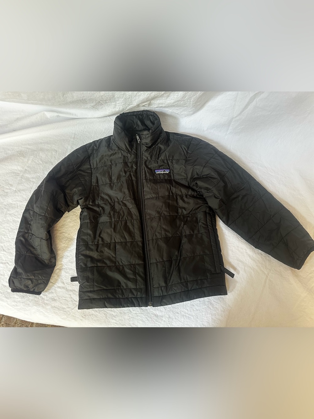 Patagonia Men’s Black Quilted Puffer Jacket
